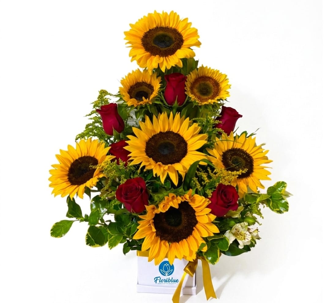WhatsApp Image 2026-05-03 at 4.25.12 AM Amor y Luz - Imagen 1